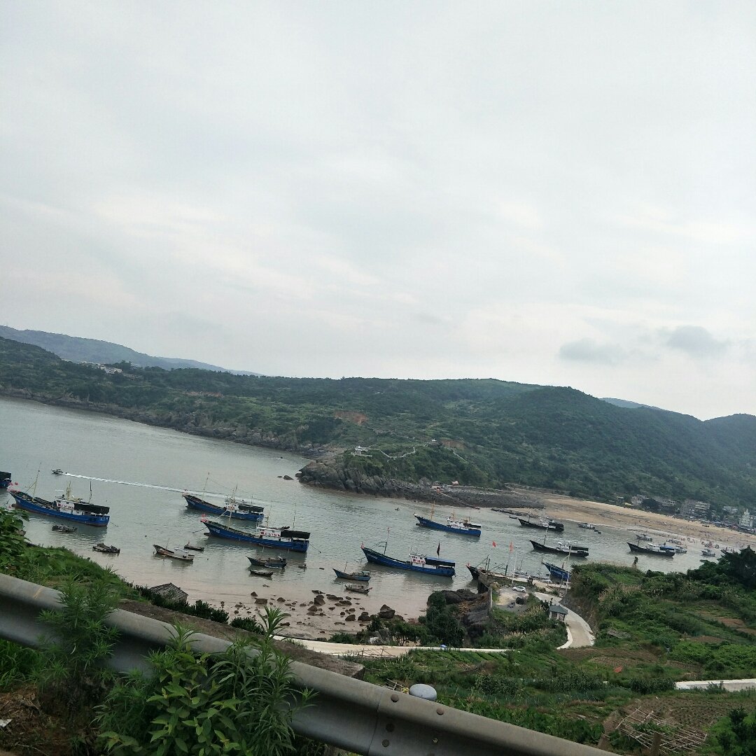 浙江省温州市苍南县马站镇龙魁线