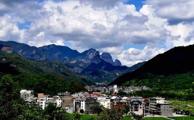 青山绿水间的守护者——探访雁荡山国家森林公园中的芙蓉镇大山背村